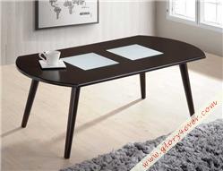 EZRA (COFFEE TABLE)